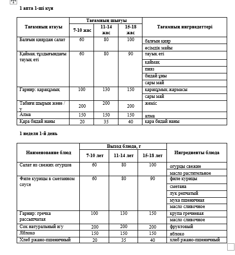 04.11.2024 жылына арналған ас мәзірі/Меню на 04.10.2024