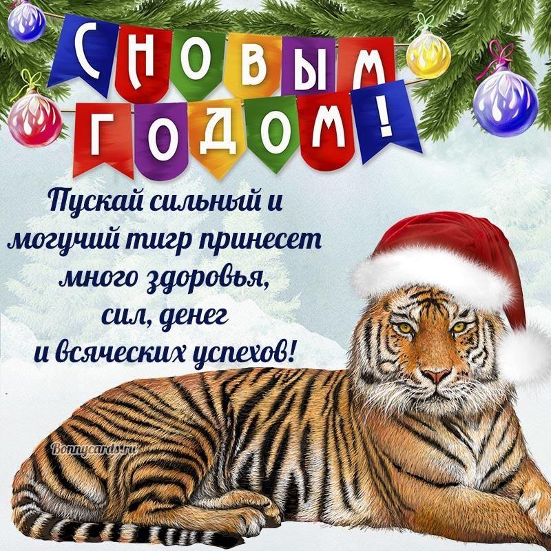 Жаңа жыл құтты болсын! С Новым Годом!