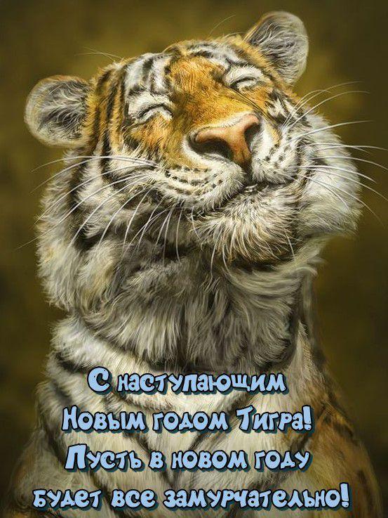 Келер жыл құтты жыл болсын! С Наступающим Новым годом!