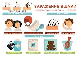 Жоғары сынып оқушыларымен педикулез және дерматомикоздардың алдын алу бойынша профилактикалық әңгіме. Профилактическая беседа с учащимися старших классов по вопросам педикулёза и дерматомикозов