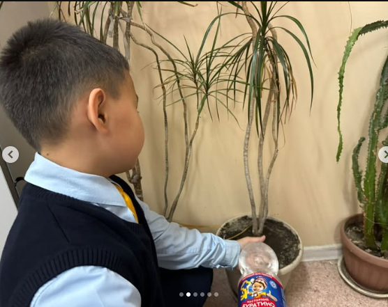 "Алматы- таза қала"